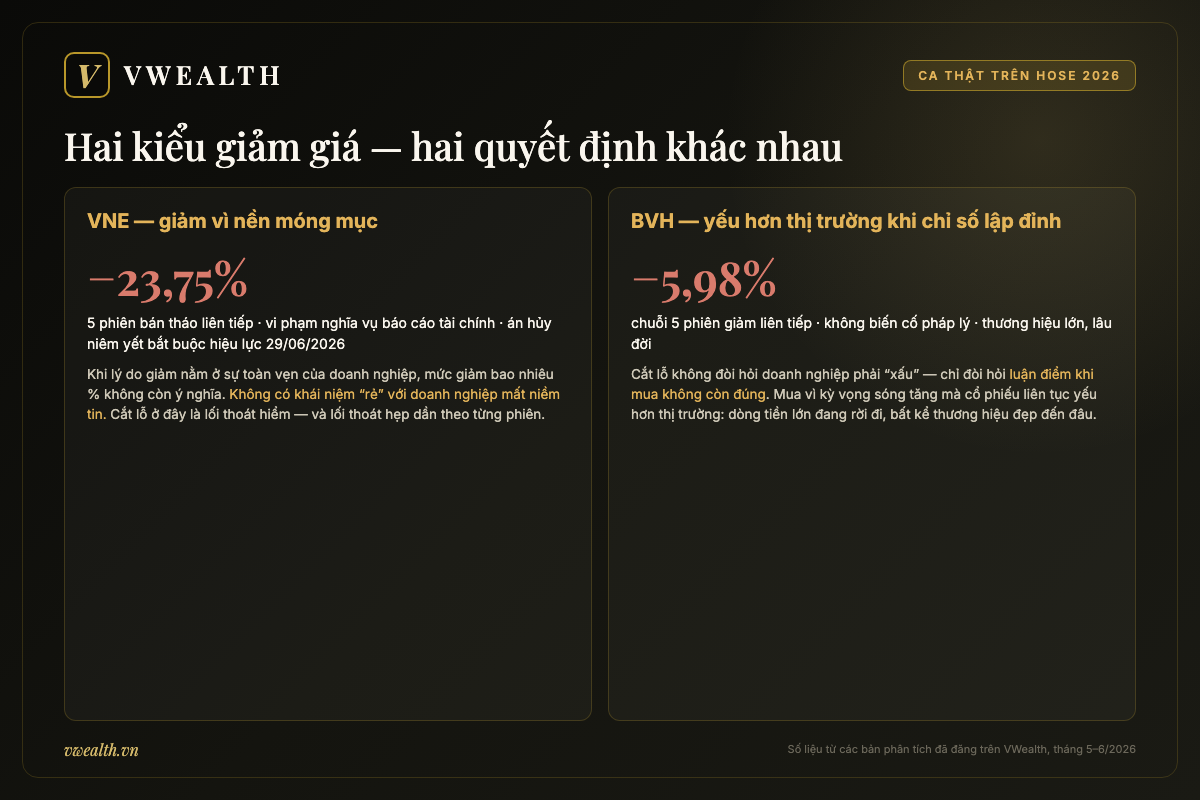 Hai ca thật trên HOSE 2026: VNE giảm 23,75% rồi bị hủy niêm yết, BVH chuỗi 5 phiên giảm
