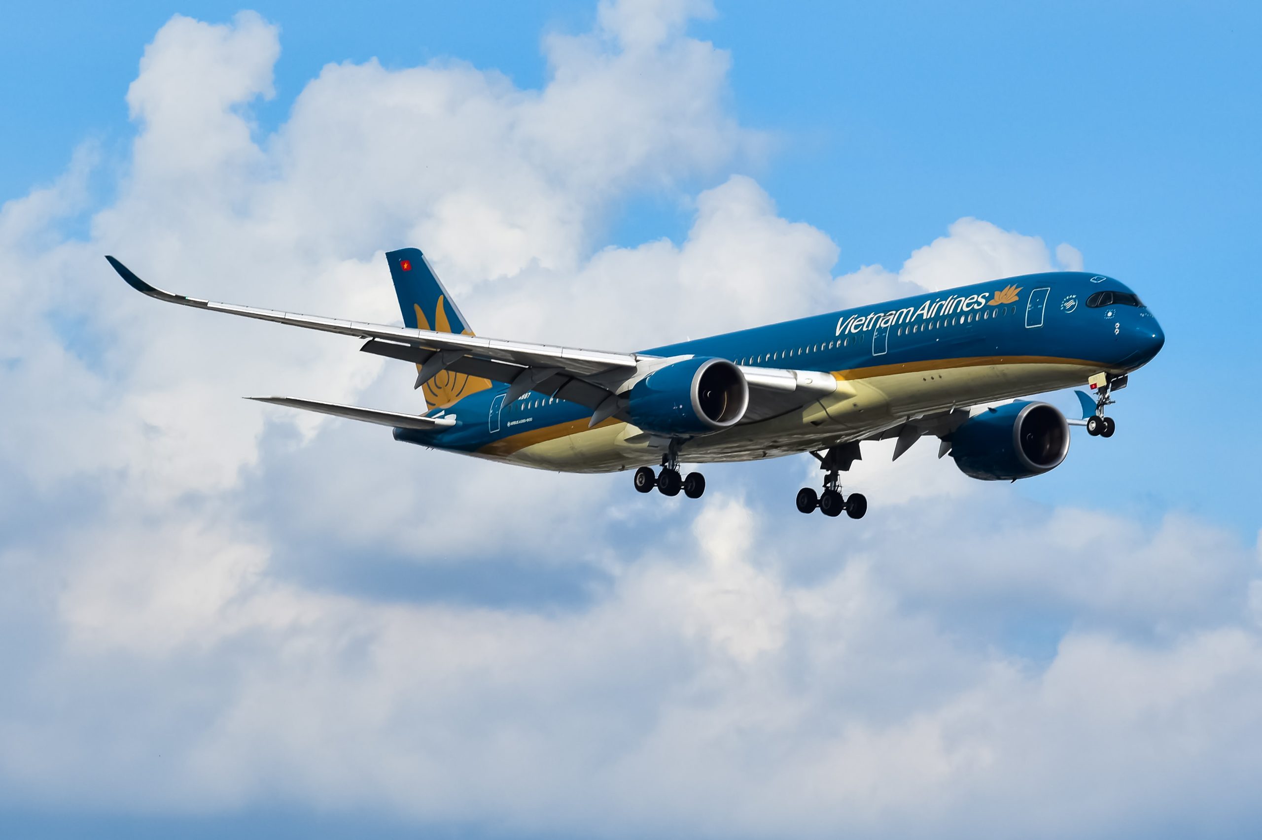 Máy bay Airbus A350-900 của Vietnam Airlines. Ảnh: Wikimedia Commons.