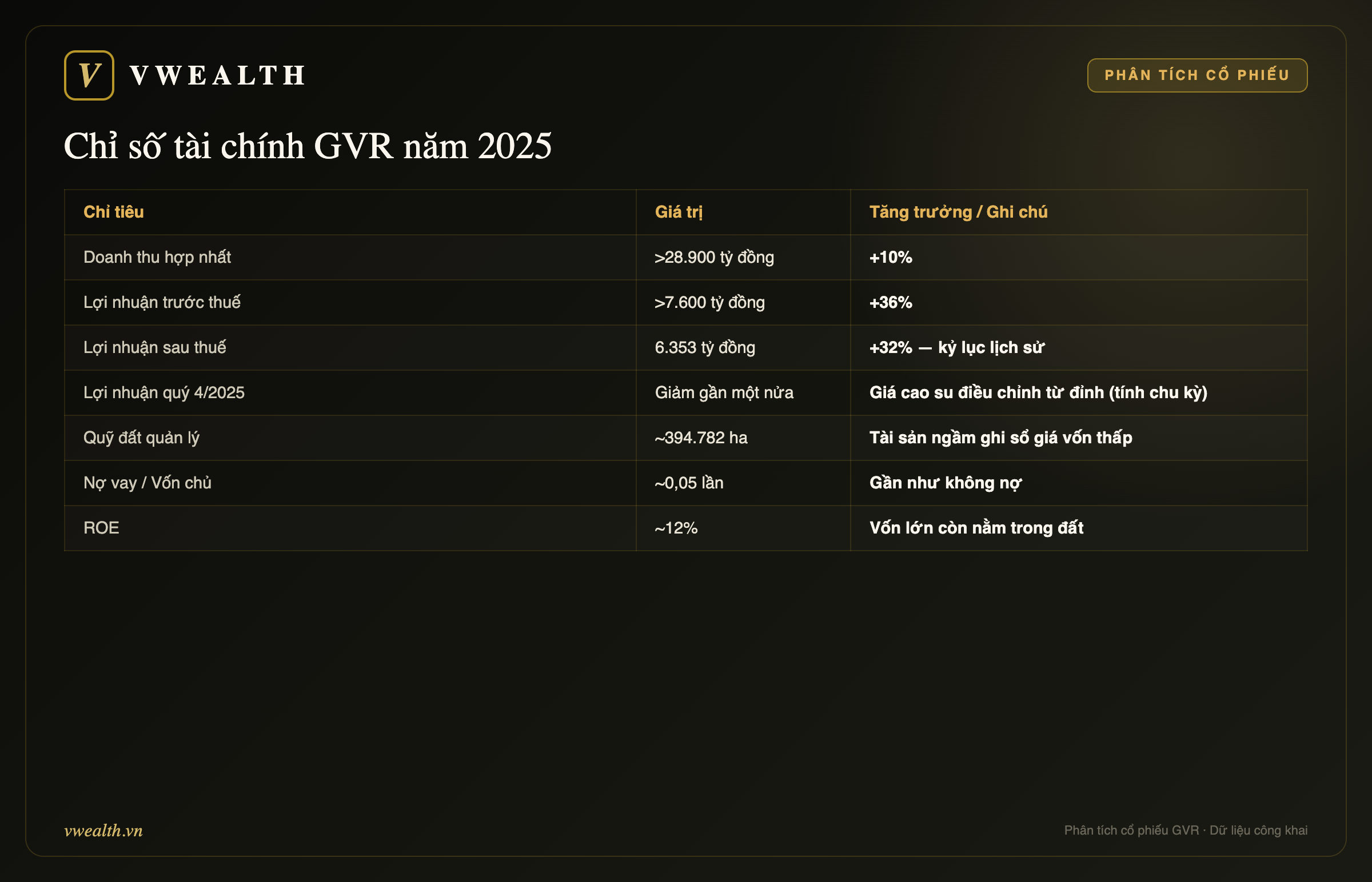 Chỉ số tài chính GVR 2025