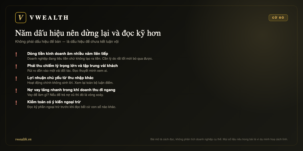 Năm cờ đỏ: dòng tiền âm nhiều năm, phải thu tập trung, lợi nhuận từ thu nhập khác, nợ tăng nhanh, ý kiến ngoại trừ