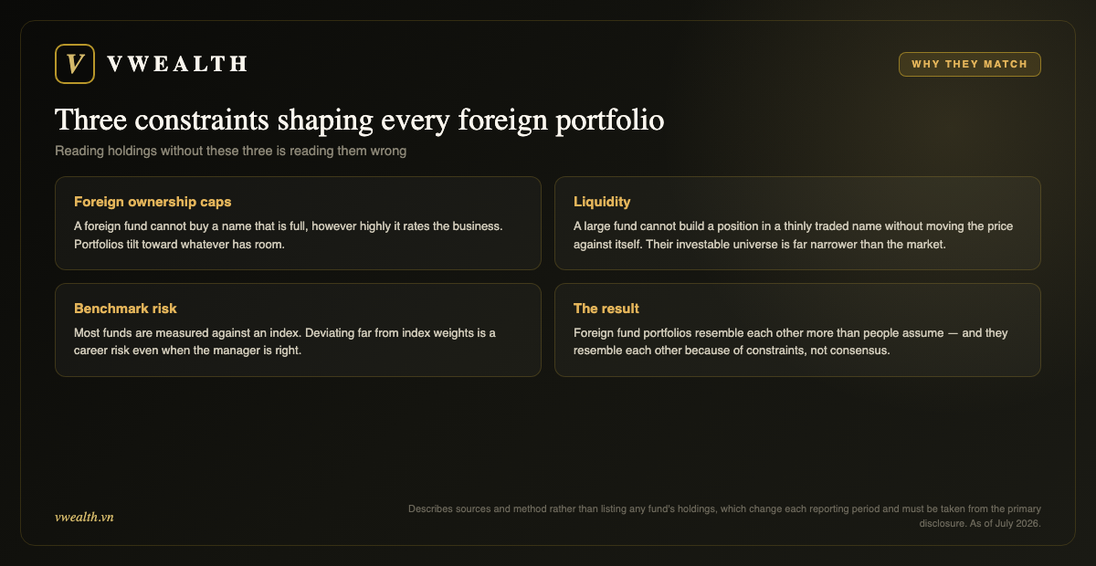 Three constraints: foreign ownership caps, liquidity, benchmark risk, and the resulting similarity