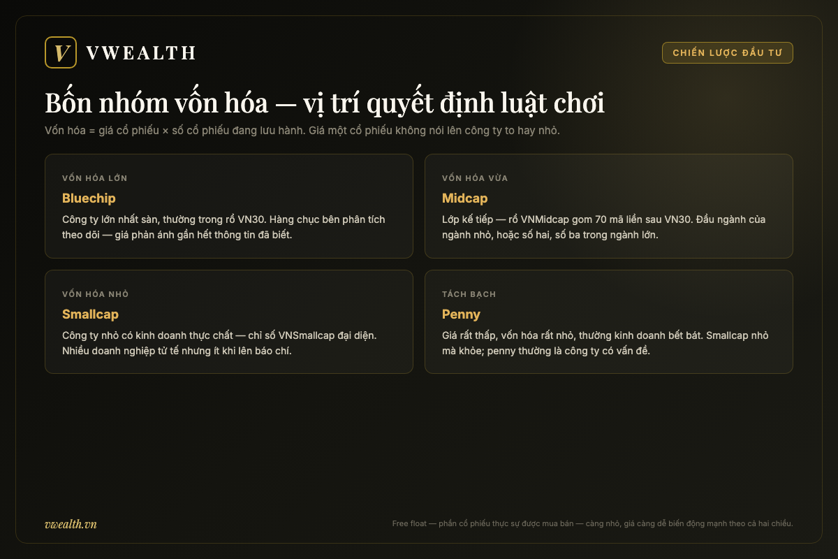 Sơ đồ bốn nhóm vốn hóa trên thị trường chứng khoán: bluechip rổ VN30, cổ phiếu midcap rổ VNMidcap, smallcap và penny, kèm khái niệm free float