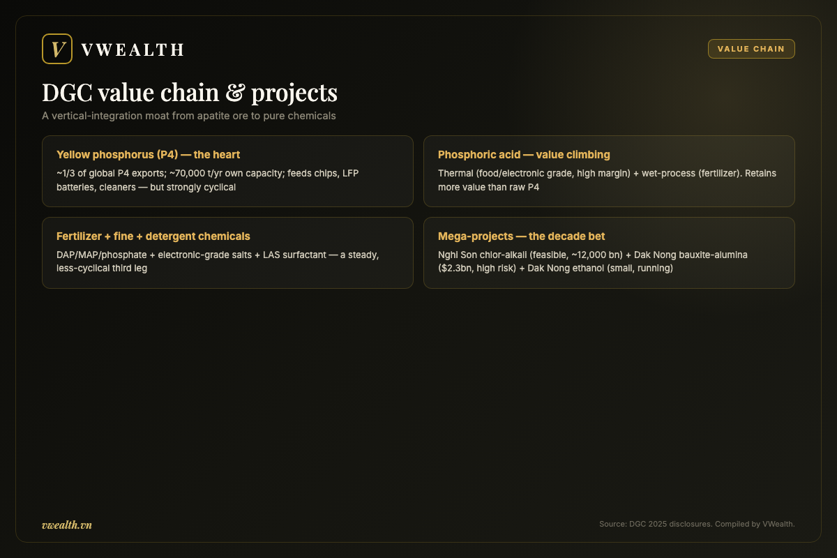 DGC value chain and projects: from apatite ore to pure chemicals
