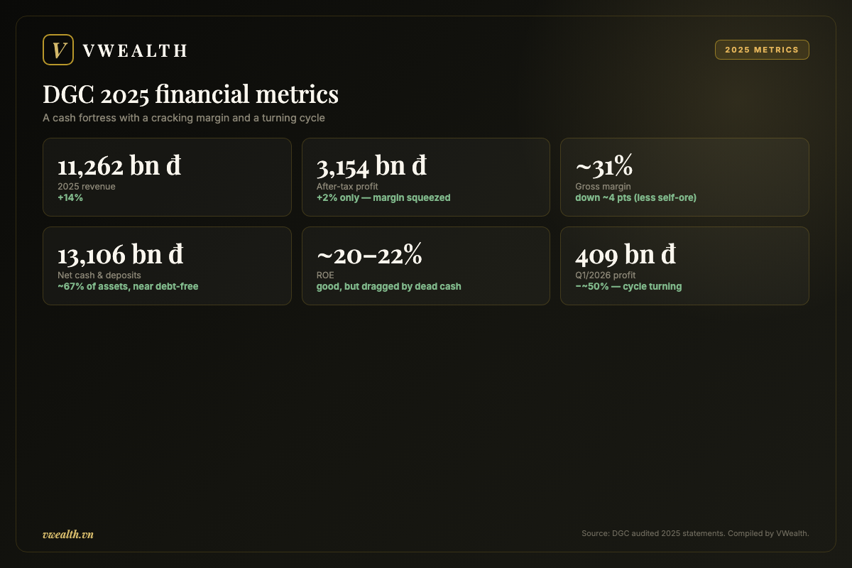 DGC 2025 financial metrics: revenue, profit, margin, net cash and ROE
