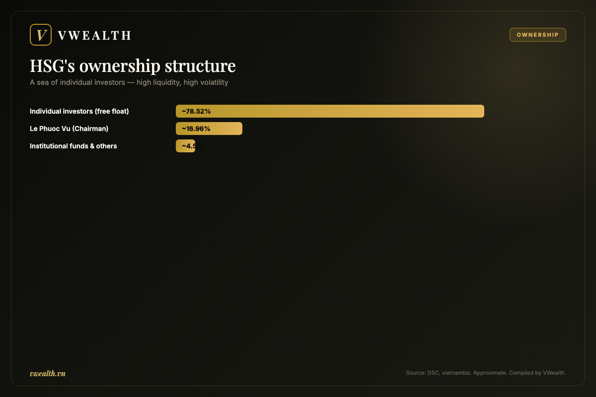 HSG's ownership structure: the founder, individual investors and funds