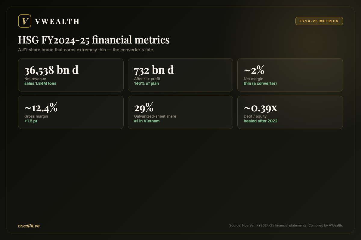 HSG FY2024-25 financial metrics: revenue, profit, margins, share and debt