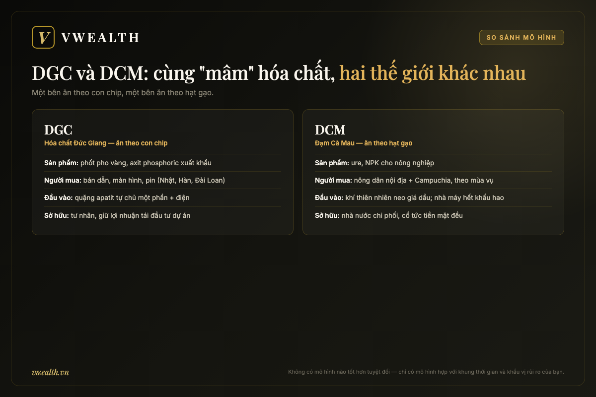 Bảng so sánh hai mô hình kinh doanh DGC Đức Giang và DCM Đạm Cà Mau: sản phẩm, người mua, đầu vào và cơ cấu sở hữu