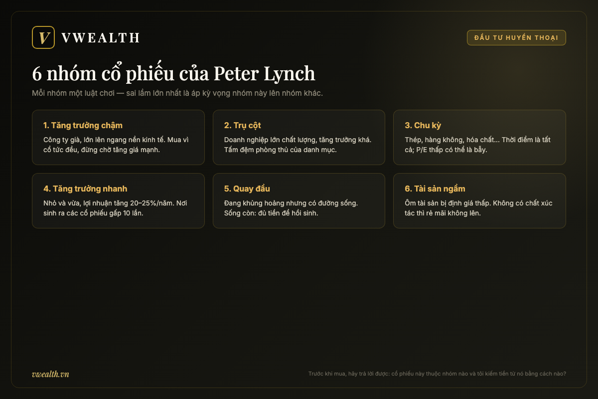 Bảng 6 nhóm cổ phiếu theo phương pháp Peter Lynch: tăng trưởng chậm, trụ cột, chu kỳ, tăng trưởng nhanh, quay đầu và tài sản ngầm