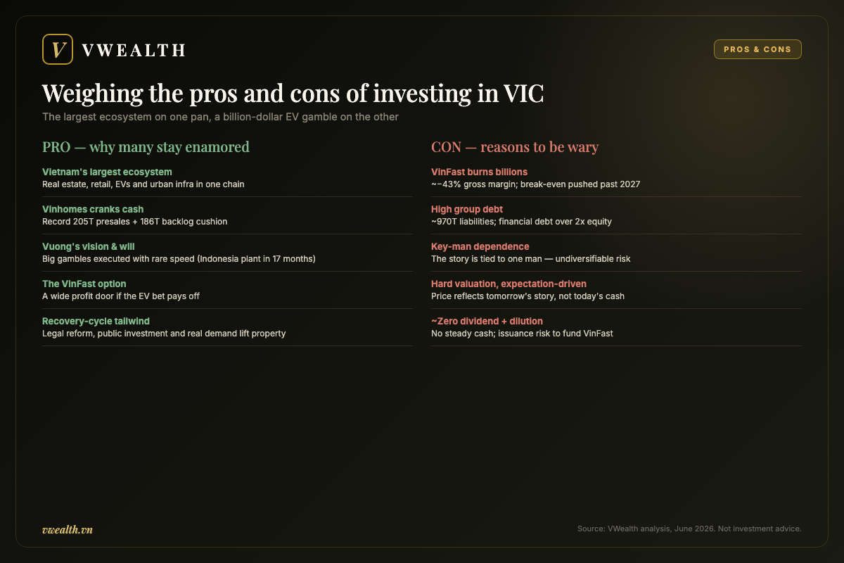 Weighing the pros and cons of investing in VIC stock