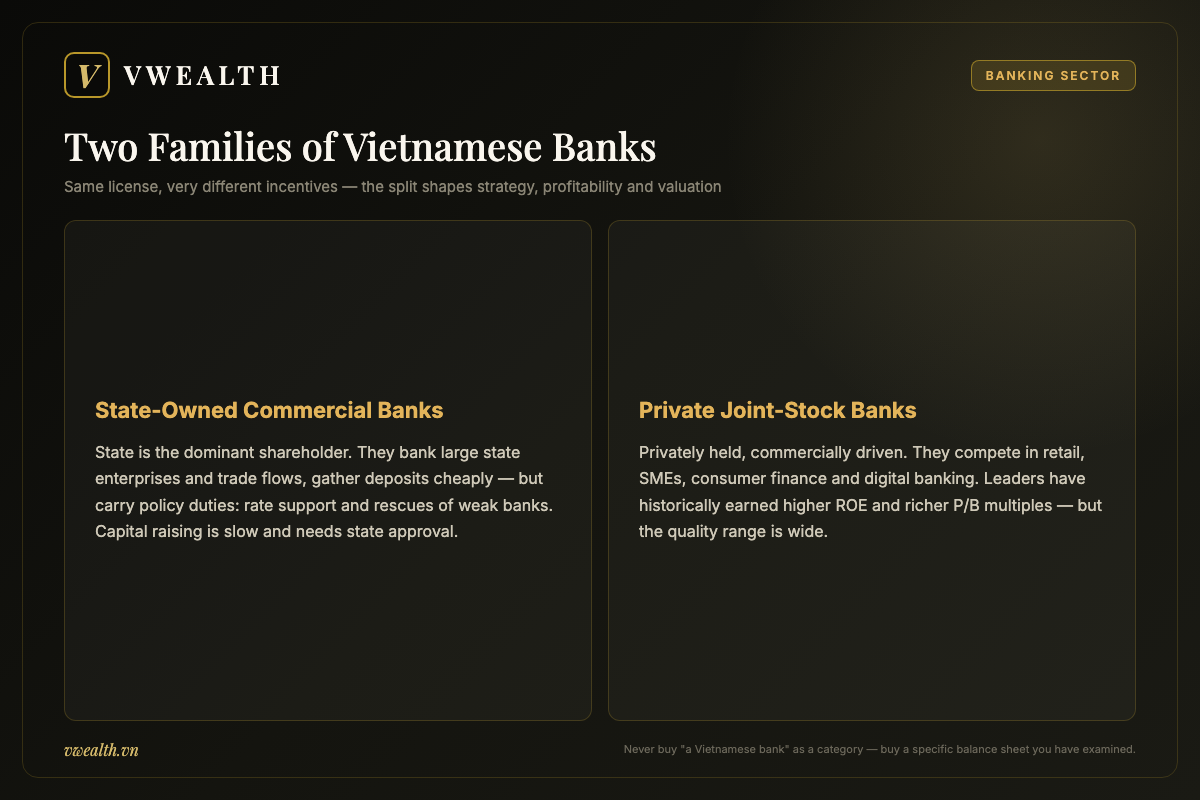 Comparison of Vietnam's two banking families: state-owned commercial banks with policy duties versus commercially driven private joint-stock banks
