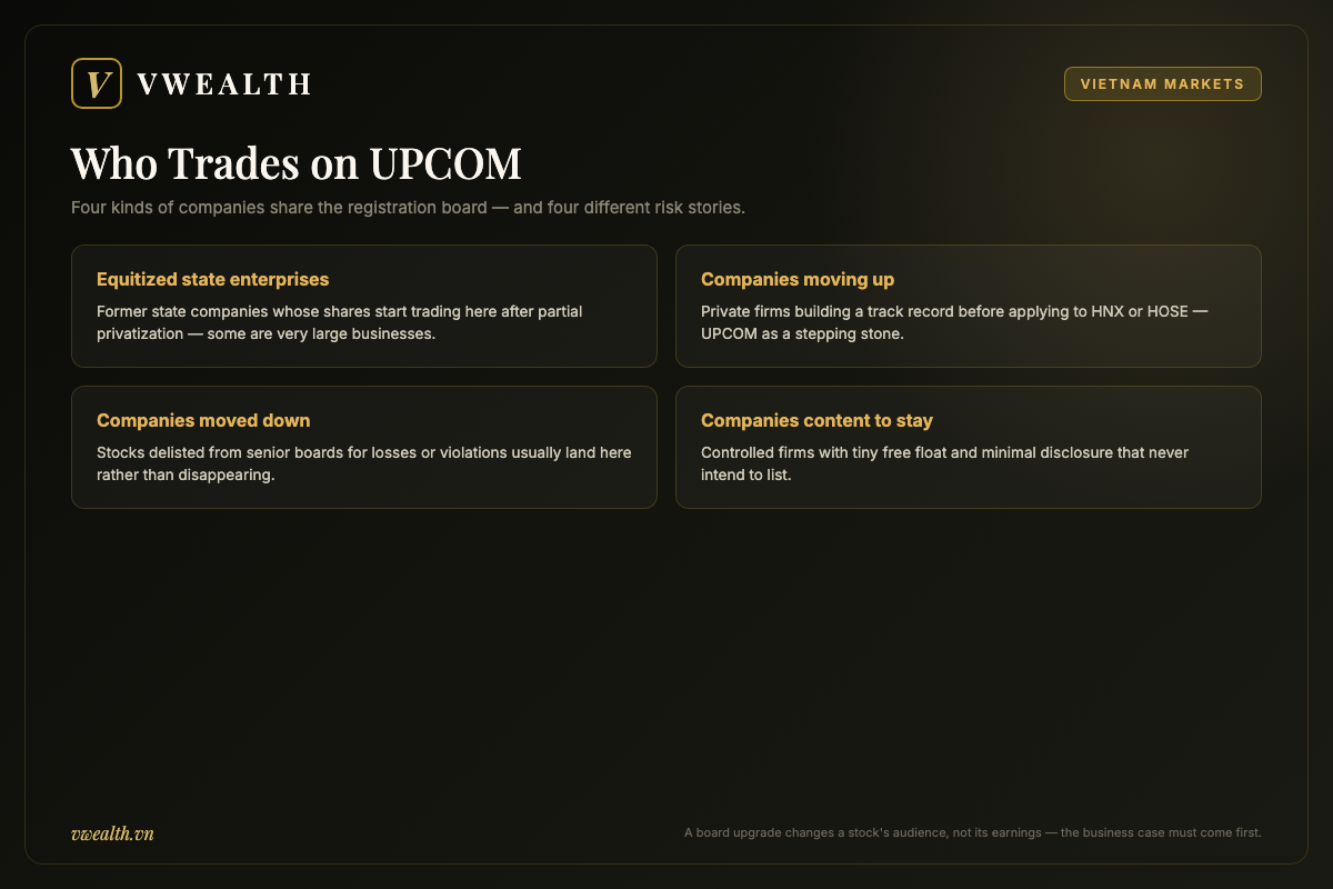 Diagram of the four types of companies trading on UPCOM: equitized state enterprises, firms preparing to list, delisted stocks and companies that stay unlisted