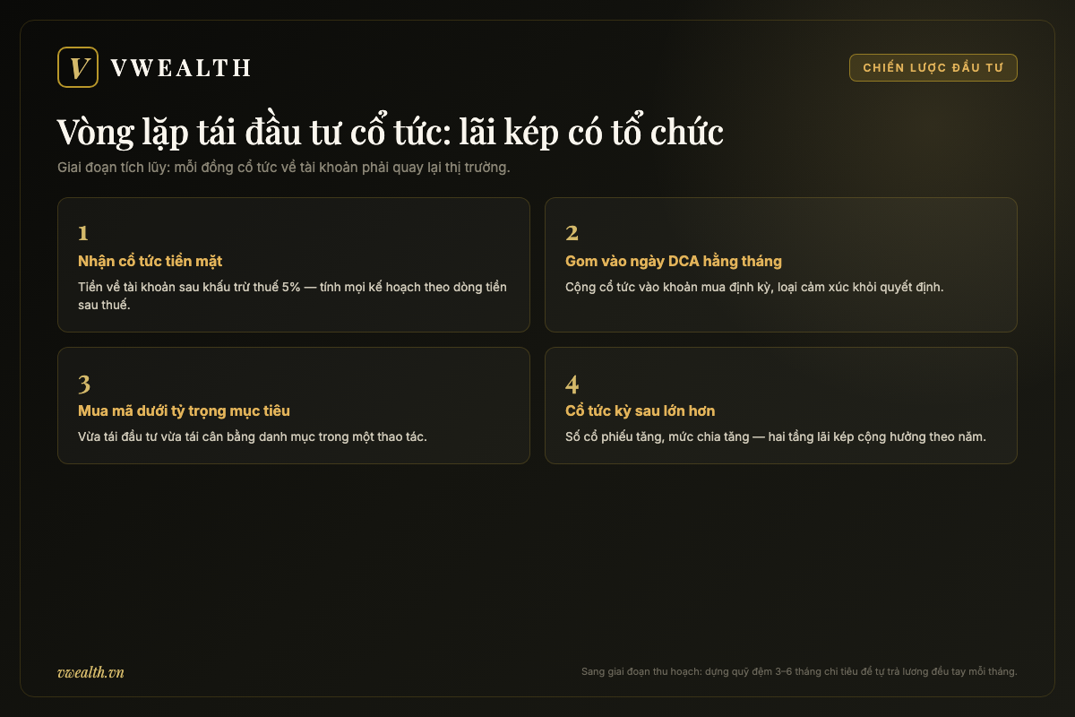 Vòng lặp bốn bước tái đầu tư cổ tức: nhận tiền sau thuế, gom vào ngày DCA, mua mã dưới tỷ trọng mục tiêu và hưởng cổ tức kỳ sau lớn hơn