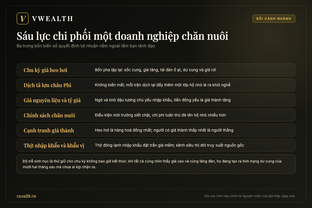 Bản đồ sáu yếu tố chi phối doanh nghiệp chăn nuôi Việt Nam gồm chu kỳ giá heo, dịch bệnh, giá nguyên liệu, chính sách và cạnh tranh