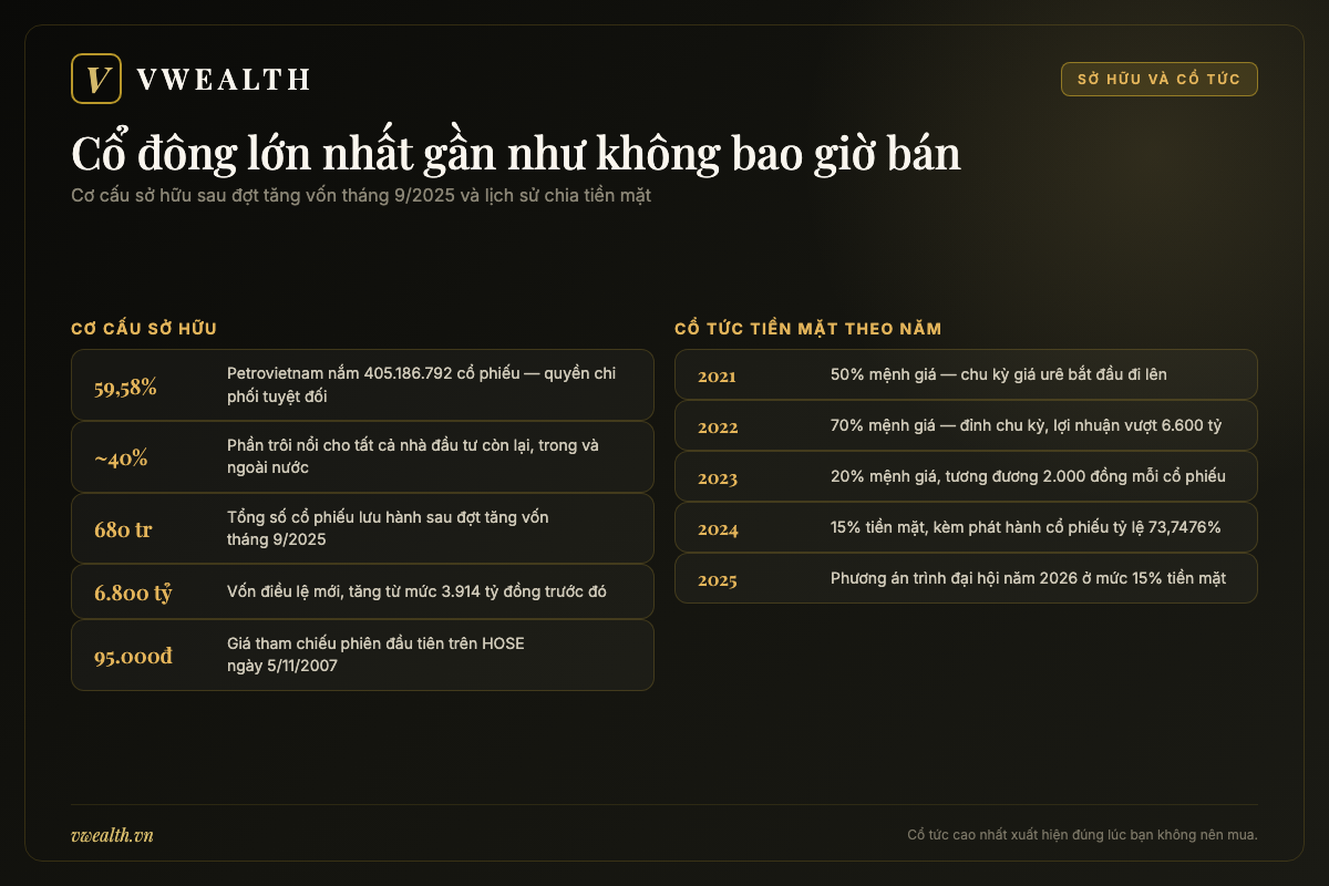 Sơ đồ cơ cấu sở hữu DPM với Petrovietnam nắm gần sáu mươi phần trăm vốn và phần trôi nổi còn lại trên sàn HOSE