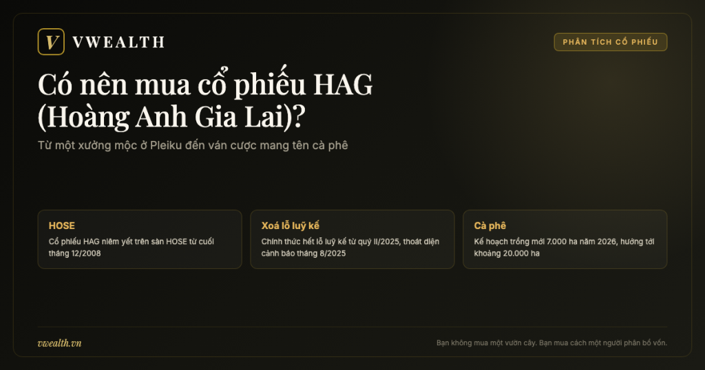 Có nên mua cổ phiếu HAG (Hoàng Anh Gia Lai)? Phân tích 2026