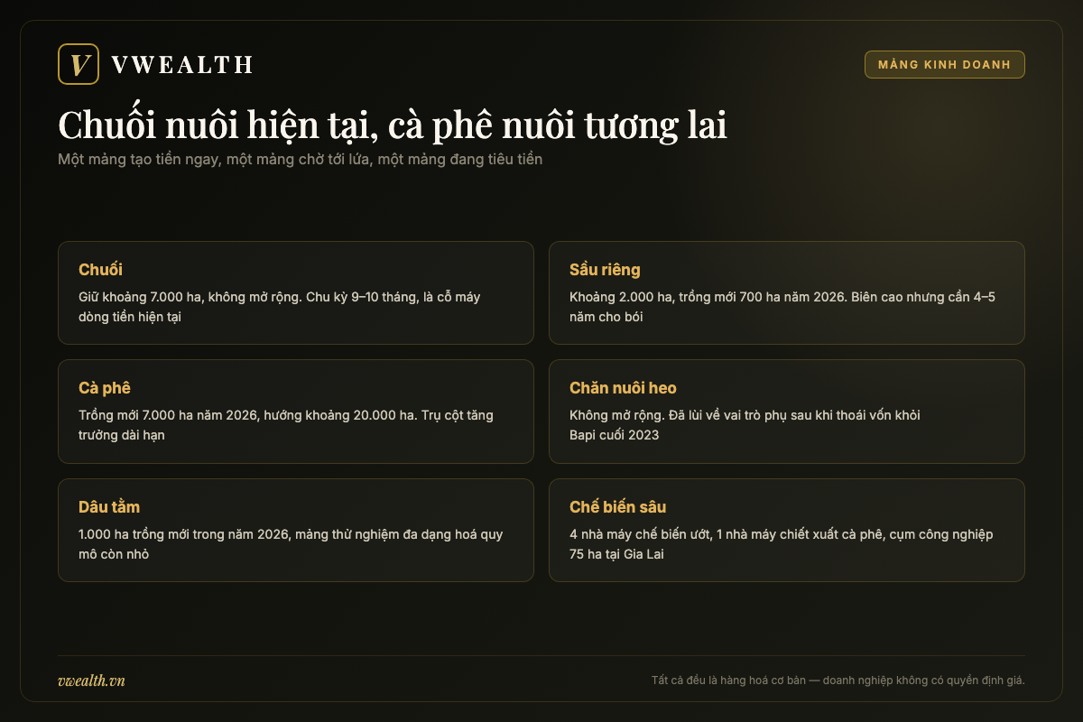 Sơ đồ các mảng kinh doanh của Hoàng Anh Gia Lai gồm chuối, sầu riêng, cà phê, chăn nuôi heo và kế hoạch chế biến sâu