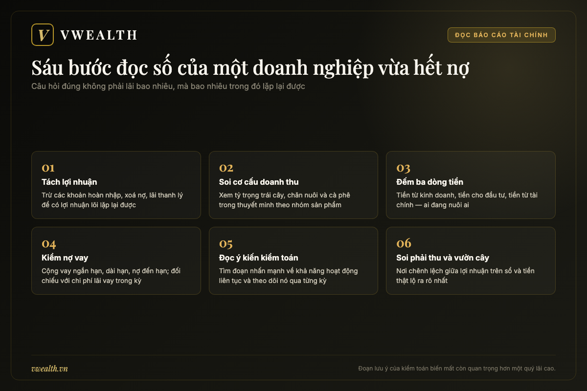 Sơ đồ sáu bước đọc báo cáo tài chính của Hoàng Anh Gia Lai để tách lợi nhuận lõi khỏi các khoản lợi nhuận một lần