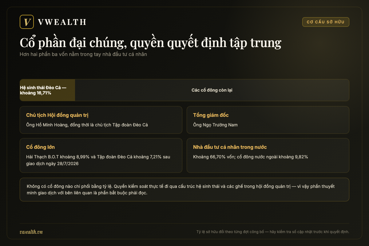 Sơ đồ cơ cấu sở hữu của HHV với hệ sinh thái Đèo Cả, nhà đầu tư cá nhân và cổ đông nước ngoài