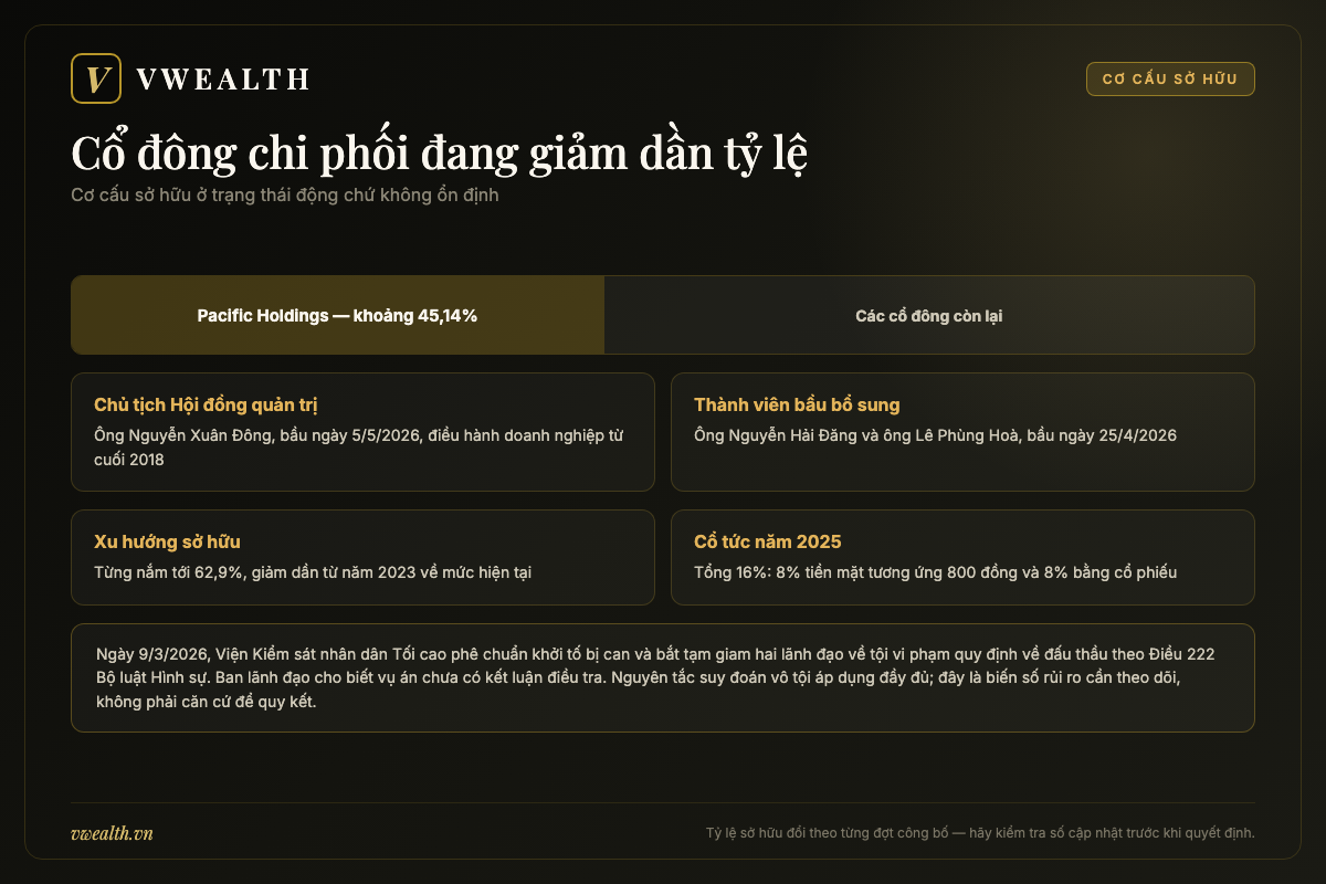 Sơ đồ cơ cấu sở hữu của VCG với cổ đông lớn nhất Pacific Holdings và ban lãnh đạo sau kiện toàn năm 2026