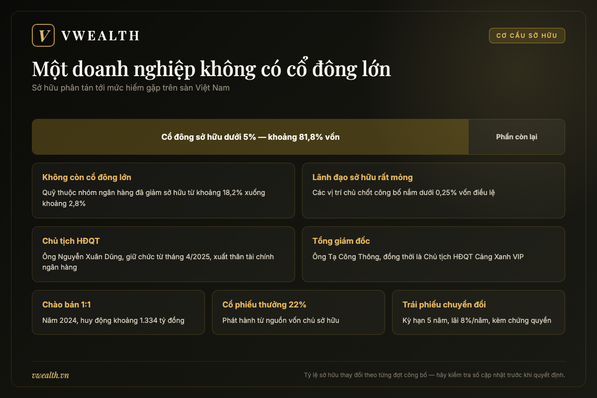 Sơ đồ cơ cấu sở hữu phân tán của Viconship, ban lãnh đạo và các đợt tăng vốn pha loãng
