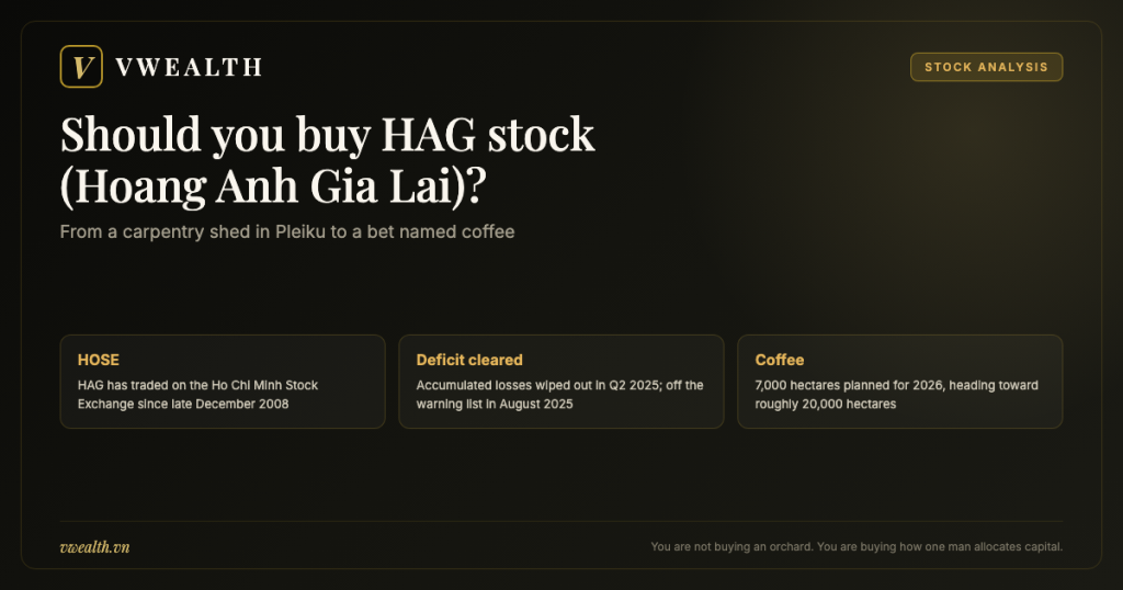 Should You Buy HAG Stock (Hoang Anh Gia Lai)? A 2026 Analysis