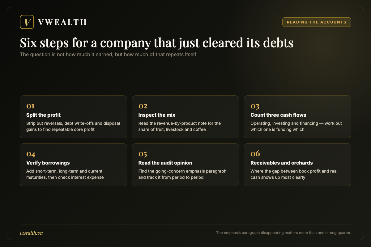 Six step guide to reading the financial statements of Hoang Anh Gia Lai and separating core profit from one-off gains