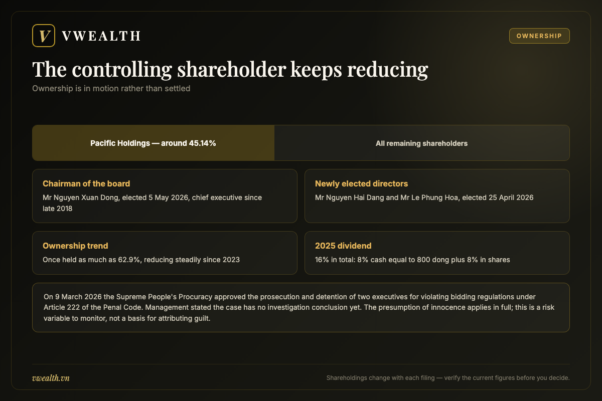Ownership structure of VCG showing largest shareholder Pacific Holdings and the board reconstituted in 2026