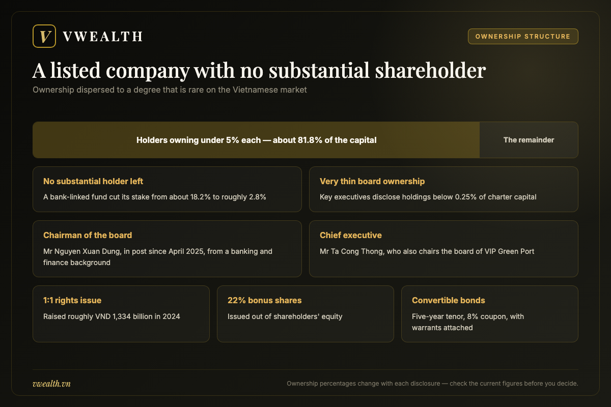 Ownership structure of Viconship showing dispersed holdings under five per cent, the board, and the sequence of dilutive share issues