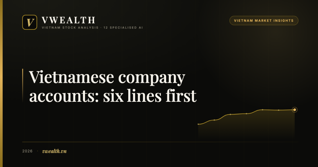 Reading a Vietnamese Company’s Accounts: Six Lines First, and Where the English Version Hides