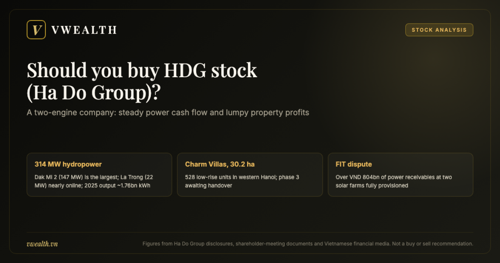 Should You Buy HDG Stock (Ha Do Group)? 2026 Analysis